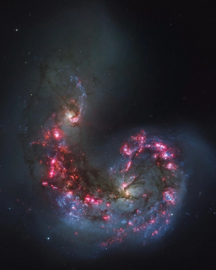 Antennae Galaxies colliding causing a massive starburst