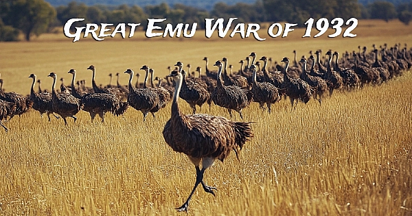 The Great Emu War of 1932: Australia’s Feathered Foe